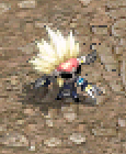 3.巴蘭卡.png