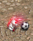 19.白化獨角獸.png