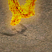 不死鳥.png