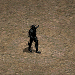變形怪首領.png