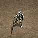 克特.png