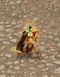 25.披風女騎士.gif
